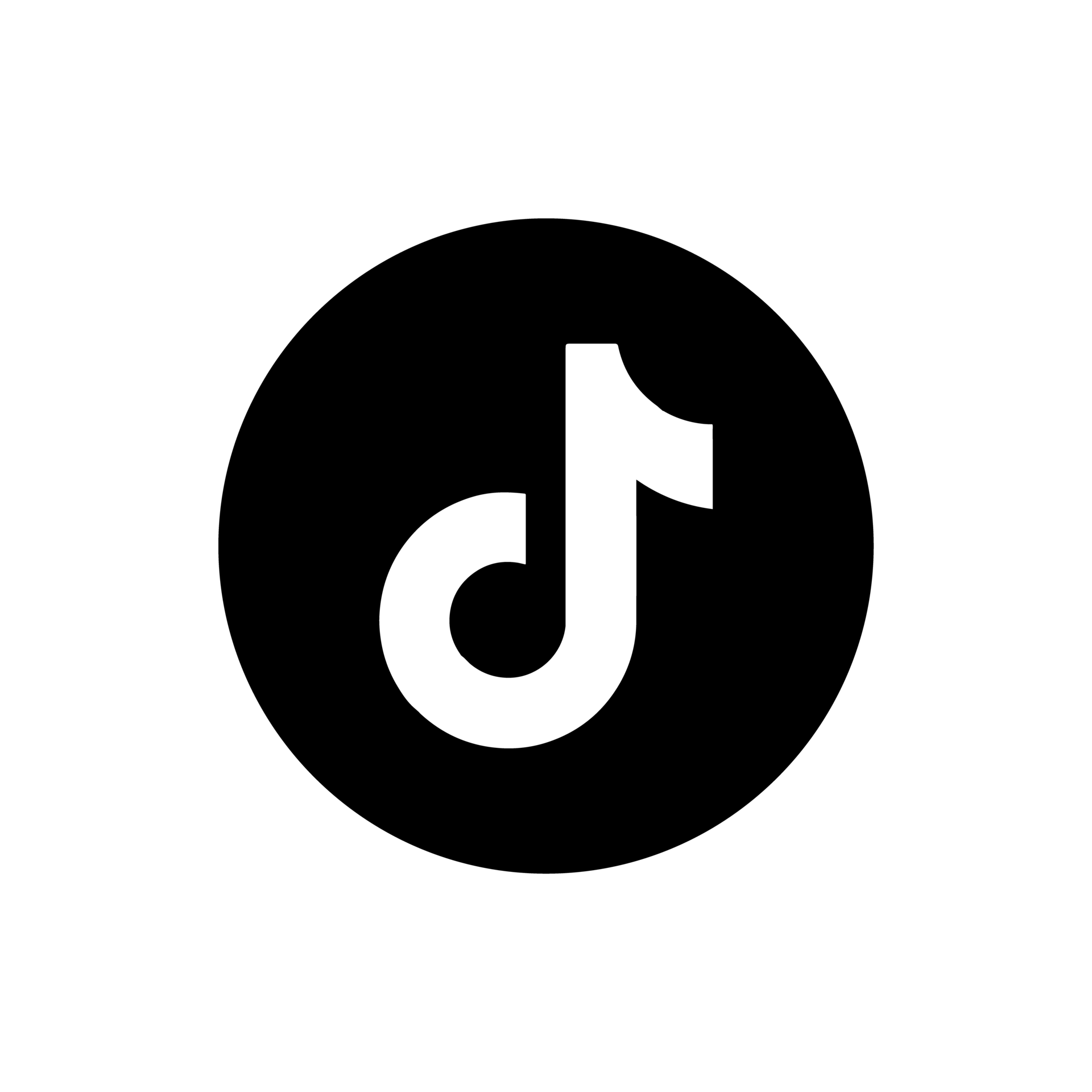 Tiktok Logo - Link zu Trainer Peter Wengler